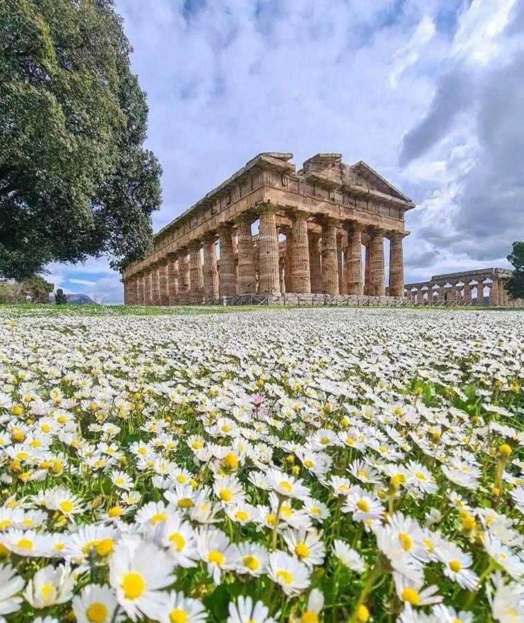 La Ricarda Dimora Di Campagna Acomodação com café da manhã Paestum Exterior foto
