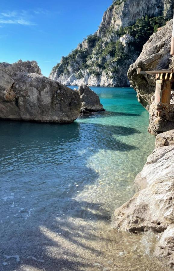 La Ricarda Dimora Di Campagna Acomodação com café da manhã Paestum Exterior foto